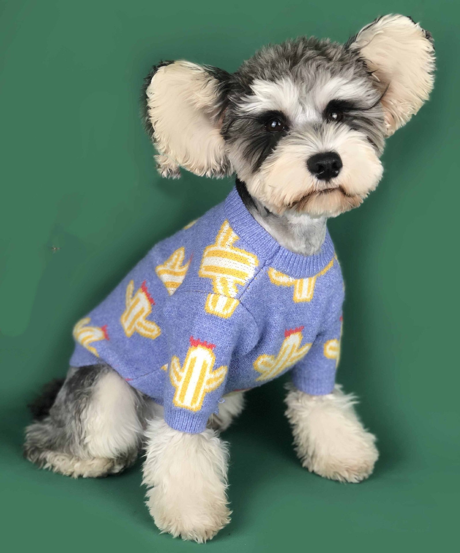 The Ultimate Pet Cactus Sweater: Fashion Meets Functionality